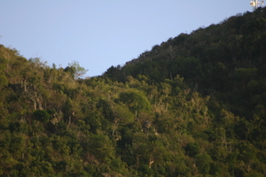 img_5374.jpg