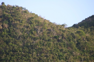img_5375.jpg
