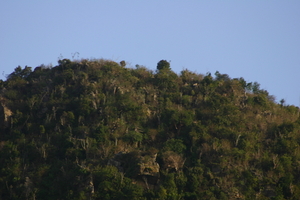 img_5376.jpg