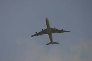 img_5377.jpg