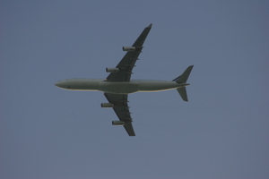 img_5380.jpg