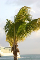 img_5388.jpg