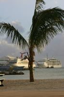 img_5390.jpg
