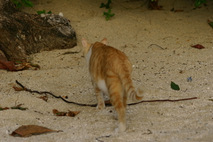 img_5395.jpg