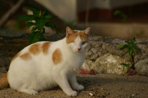 img_5396.jpg