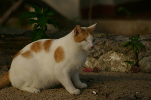 img_5397.jpg