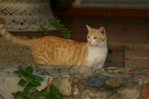 img_5399.jpg