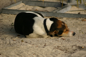 img_5401.jpg