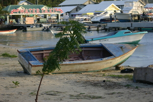 img_5410.jpg