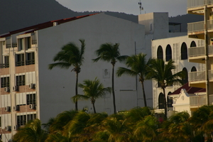 img_5416.jpg