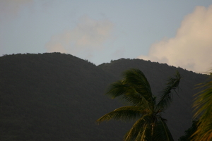 img_5418.jpg