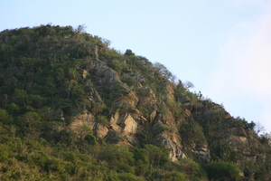 img_5421.jpg