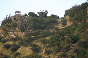 img_5423.jpg