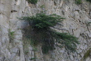 img_5431.jpg