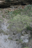img_5438.jpg