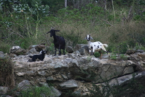 img_5444.jpg