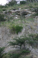 img_5446.jpg