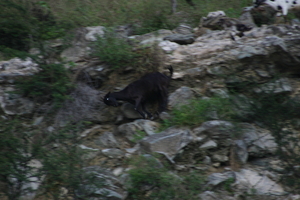 img_5448.jpg