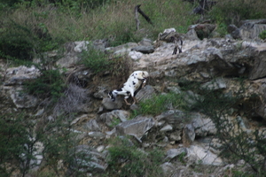 img_5449.jpg