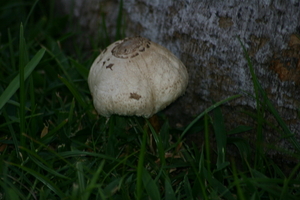 img_5454.jpg