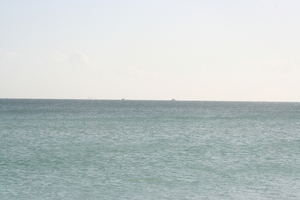 img_6499.jpg