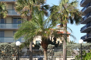 img_6511.jpg