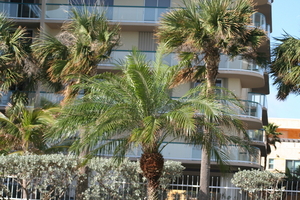 img_6512.jpg