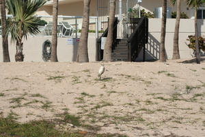 img_6514.jpg