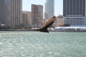 img_6549.jpg