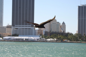 img_6550.jpg