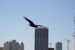 img_6551.jpg