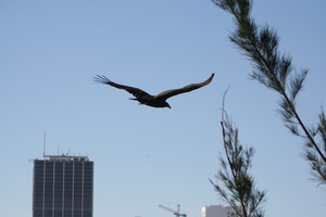 img_6552.jpg