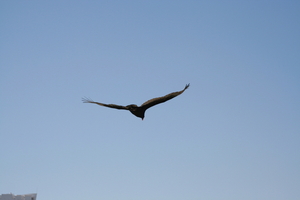img_6555.jpg