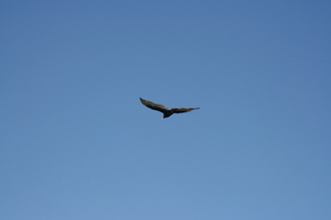 img_6557.jpg