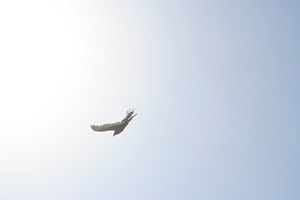 img_6559.jpg