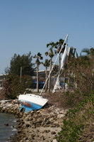 img_6560.jpg