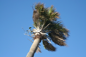 img_6564.jpg