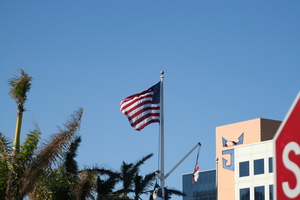 img_6568.jpg