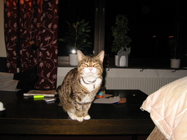 img_6974.jpg