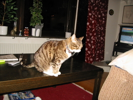 img_6975.jpg
