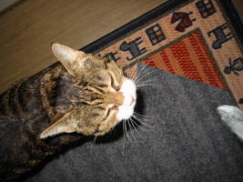 img_6980.jpg