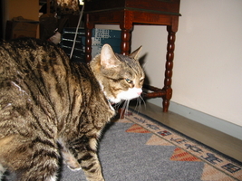 img_6981.jpg