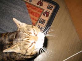 img_6982.jpg