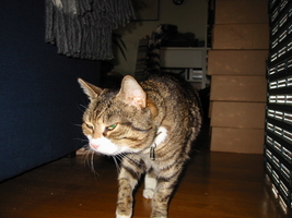 img_6986.jpg