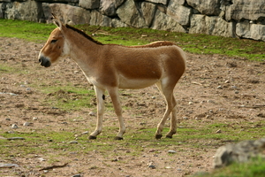 img_9570.jpg
