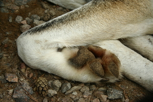 img_9676.jpg