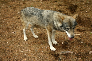 img_9795.jpg