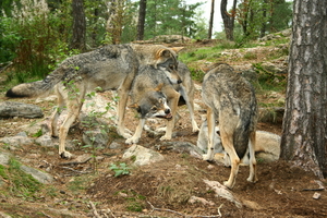 img_9829.jpg