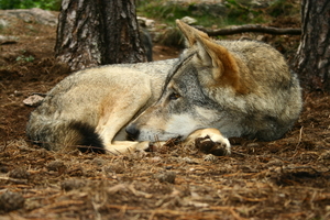 img_9842.jpg