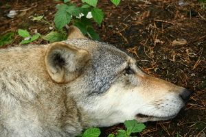 img_9883.jpg
